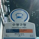 삼익헤어라인 | (부산/남천동)부산미용실 누아르헤어 NOIR 광안비치2호점 오주아클리닉 리뷰