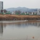 하천(유등천3) 이미지