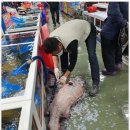 완주횟집 이미지