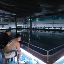 남양주 락 실내바다 낚시터 이미지