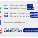 한국복싱진흥원 복싱아카데미 이미지
