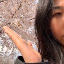 지에스25 월곡센터점 | 반포한강공원 피크닉 총정리(분수, 배달존, 돗자리 대여, 편의점 위치까지)