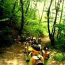 가포초등학교 이미지