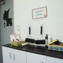 신정애견 이미지