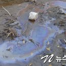 삼봉천 이미지