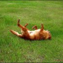 우리텍스 이미지