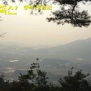백조사 이미지