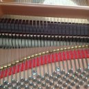 영창베아링 이미지