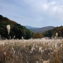 라 까시나 이태리 이미지