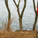 강가의 추억 이미지