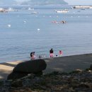 금곡닭집 이미지