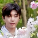 춘하추동 이미지