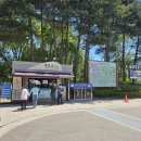 자연-꽃 | 춘천 가볼만한 곳 | 초록이 가득했던 '강원도립화목원' 피크닉 추천💚