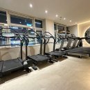 와이짐 PT 분당미금점 이미지