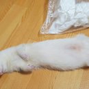 마짱PC 이미지