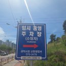 주니파파 | 삼척수제버거 맛집 삼척솔비치 근처 햇살 가득한 분위기 좋은 매드 파파 후기