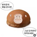 구동펜션 | 한국의 포지타노 울릉도 여행기 1일차 : 울릉크루즈,99식당,오브레 오징어빵,울라여행자센터