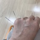 월오한의원 이미지