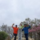 탑천 이미지