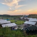 비비오토캠프 이미지