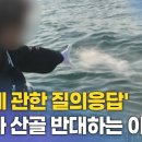 [위령성월] 산분장(散紛裝)에 대한 가톨릭 교회의 입장은? 이미지