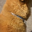 보건소(좌) 이미지