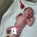 에바마레산부인과의원 | 구미 산부인과 에바마레에서 둘째 출산했어요