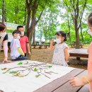 선어린이집 이미지