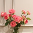 하삼동커피(동아대부민캠퍼스점) 이미지