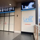 달래동물의료센터 | [고양 삼송] 삼송역 24시 라인동물의료센터 동물병원 후기ㅣ강아지 건강검진 그린벳 스케일링 중대형견...