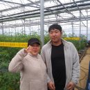 이승민농장 이미지