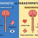 데일리피티 이미지