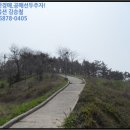 옥도면 장자도리 이미지