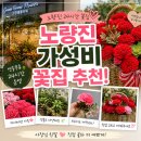 썸플라워컴퍼니 | [노량진 가성비 꽃집 추천] 어버이날 카네이션 내돈내산 후기 | 동작구 꽃집