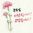 닥터쥬스 이미지