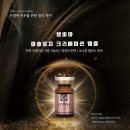 셀비아 이미지