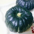 뿌리 농장 이미지