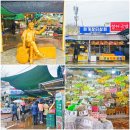 장터로 | 경남 하동 가볼만한곳 화개장터 나들이 아이와 여행