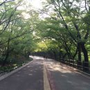 아베크(AVEC) 이미지