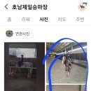 호남제일승마장 이미지