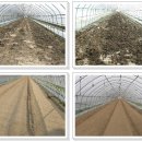 월암농장 이미지