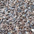 차경농장 이미지