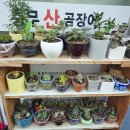 충무장어구이 이미지