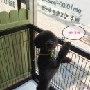 블랙미용타운