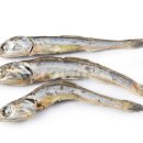 옛날마차 이미지