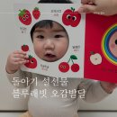 설선물 추천! 블루래빗 오감발달 첫 놀잇감 - 색깔놀이 책 소개