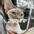 하랑메디컬 이미지