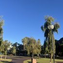 농심작은도서관 | 1.19-2.8 골고루 태우는 건 어렵구나