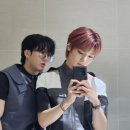 냥이조아 이미지