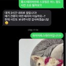 남현댕 애견미용 이미지